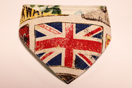 おしゃれ首輪２リバーシブルバンダナ　イギリス国旗×サボテンの花Ｃ１