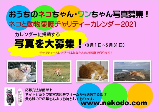 ネコと動物愛護チャリティーカレンダー2021写真募集チラシ